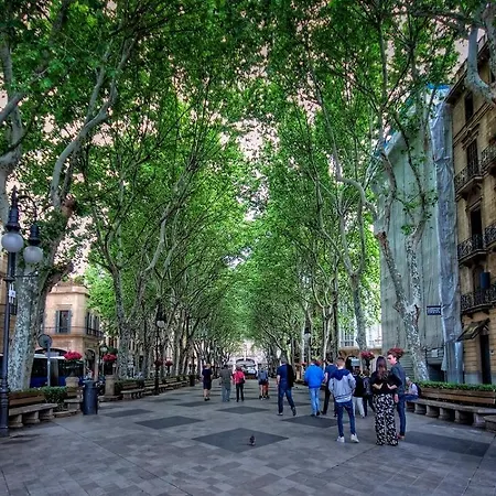 Baron- Center - Luxury Palma